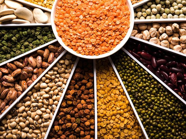 Premium Pulses